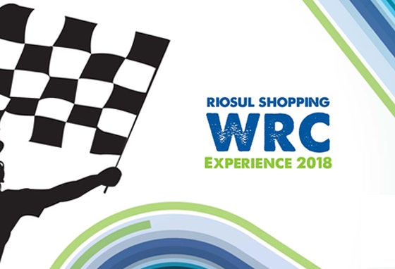 WRC Experience 2018